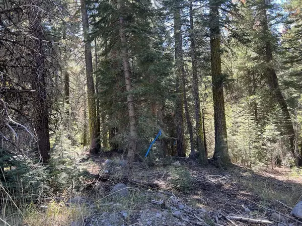 Viola, CA 96088,0000 Logging RD