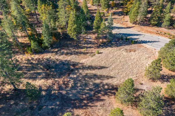 Shingletown, CA 96088,Lot 35 Princess Pine PL