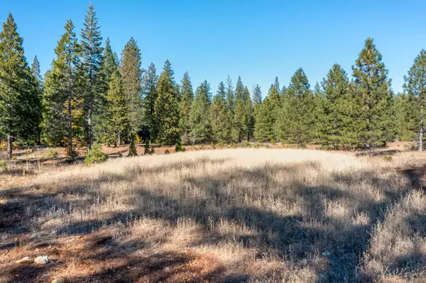 Shingletown, CA 96088,Lot 35 Princess Pine PL