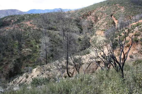 Ono, CA 86015,0000 Baker Ridge RD