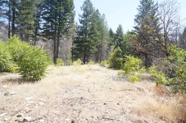 Junction City, CA 96048,250 Bear Springs RD