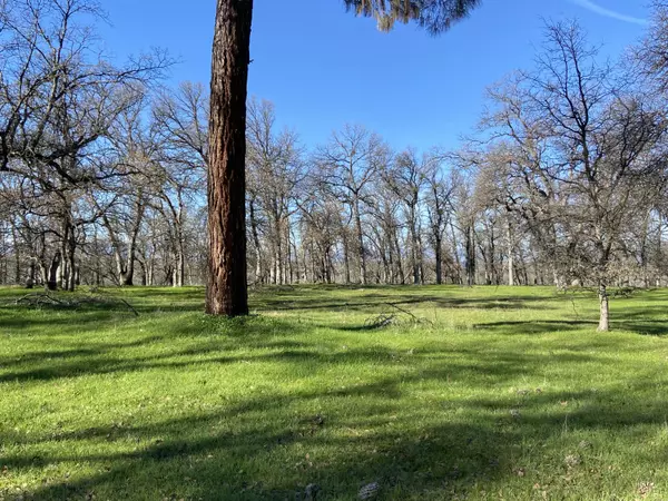 Palo Cedro, CA 96073,10 acres Silver Bridge Rd
