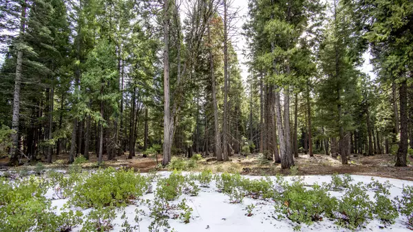 Shingletown, CA 96088,002 Ritts Mill