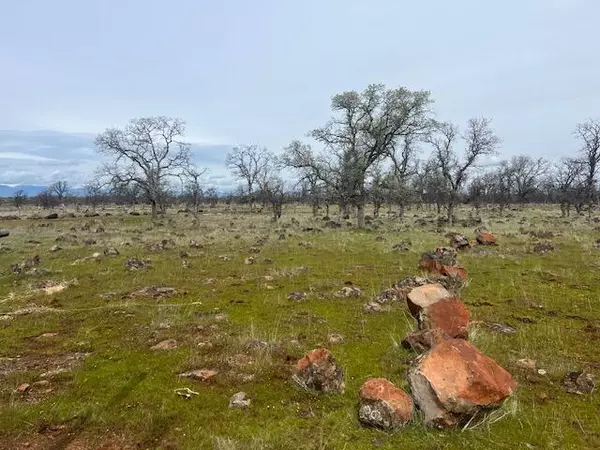 Anderson, CA 96007,Buffalo DR