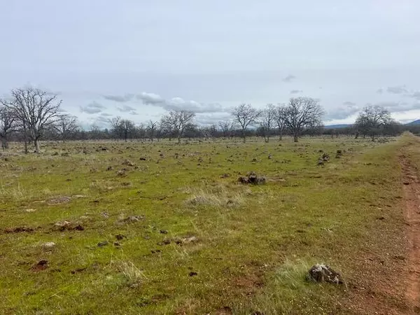 Anderson, CA 96007,Buffalo DR