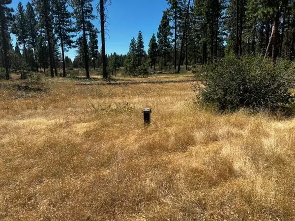 Lookout, CA 96054,655 Ponderosa DR