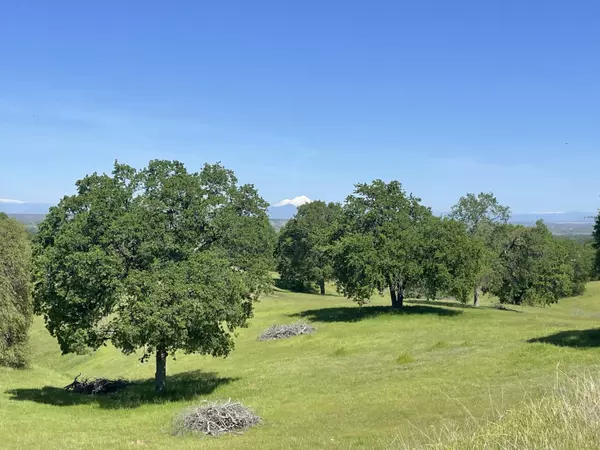 Cottonwood, CA 96022,LOT 75 RIVER DOWNS WAY