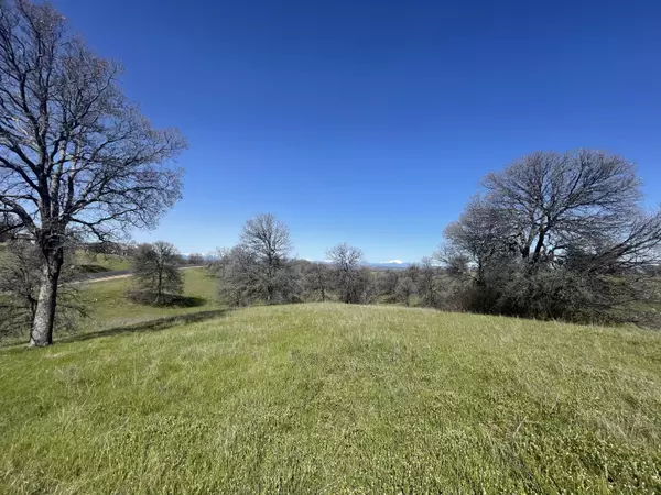 Cottonwood, CA 96022,Lot 58 Pimlico CT