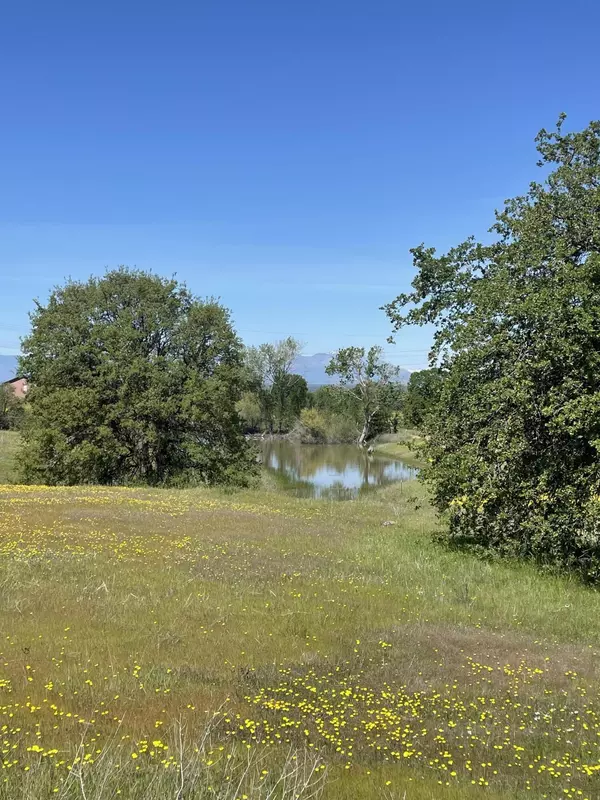 Cottonwood, CA 96022,Lot 71 Arlington Park PL