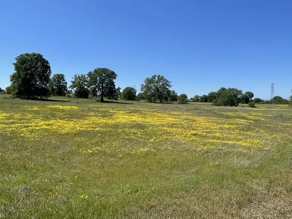 Cottonwood, CA 96022,Lot 71 Arlington Park PL