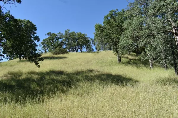 Red Bluff, CA 96080,Lot 30 Tract 91-1004 Eagle Valley Ct