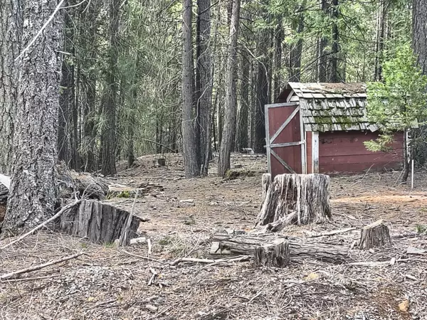 Shingletown, CA 96088,8681 Savannah WAY