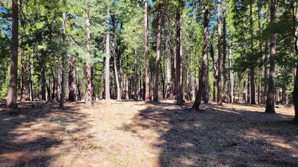 Shingletown, CA 96088,Lot 8 Whispering Winds CT