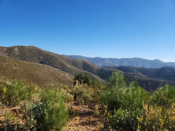 French Gulch, CA 96033,Merry Mountain