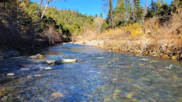 Bella Vista, CA 96008,CA-299