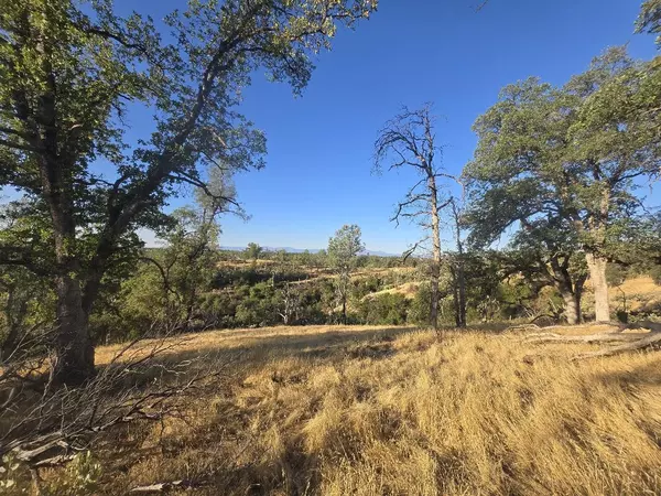 Igo, CA 96047,Lower Coal Pit Road
