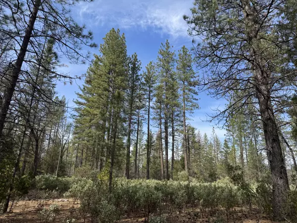 Whitmore, CA 96096,011 Whitmore Village Rd.