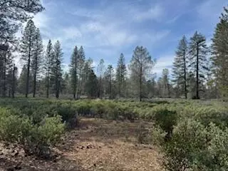 Whitmore, CA 96096,011 Whitmore Village Rd.