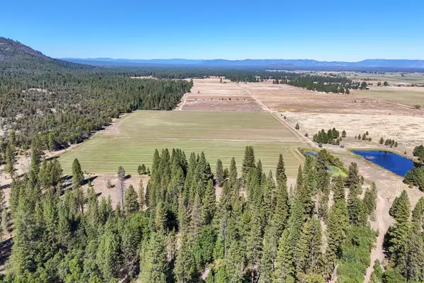 Fall River Mills, CA 96028,Brown RD