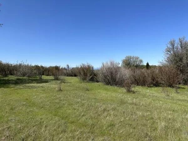 Cottonwood, CA 96022,Lot 1 Sunset Hills DR