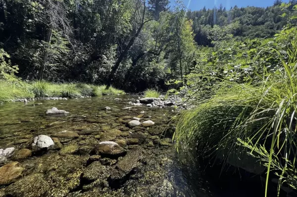 Douglas City, CA 96024,26410 State Highway 3