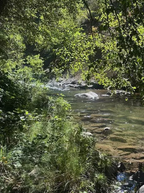 Oak Run, CA 96069,120ac Little Crk LN