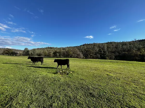 Whitmore, CA 96096,0000 Whitmore RD