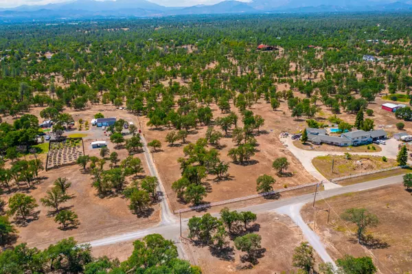 Redding, CA 96003,10096 Rocking Horse LN