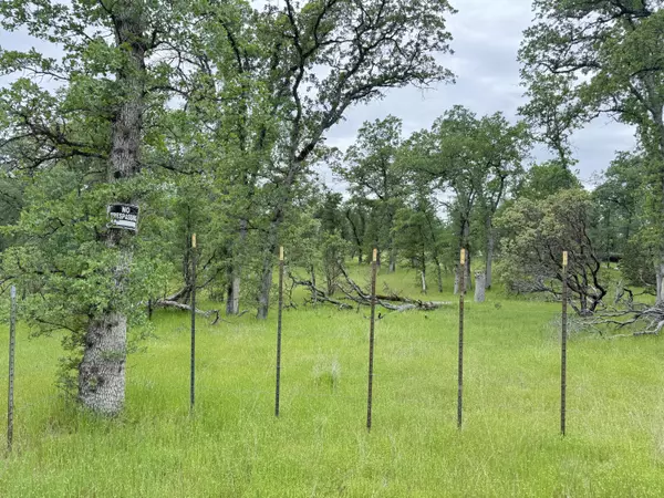 Cottonwood, CA 96022,Two Feathers RD