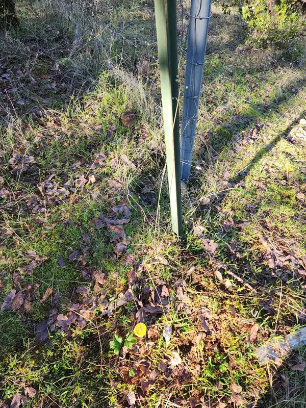 Redding, CA 96001,762 Branstetter LN