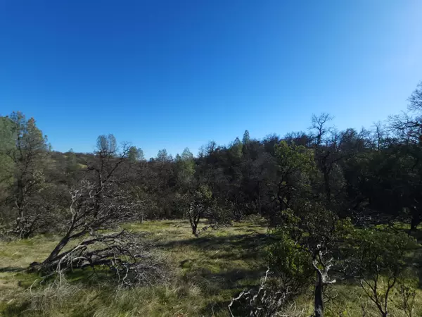 Redding, CA 96001,762 Branstetter LN