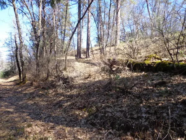 Lakehead, CA 96051,Fawn RD