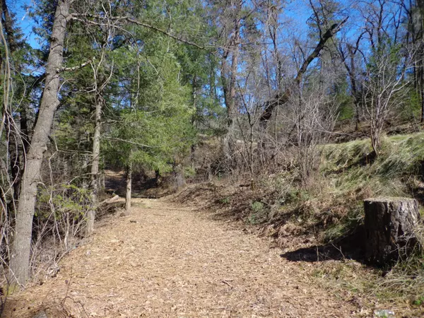 Lakehead, CA 96051,Fawn RD