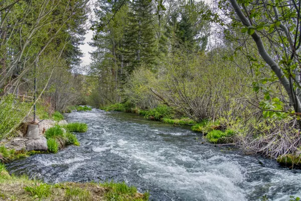 Old Station, CA 96071,42324 Blue Heron CIR