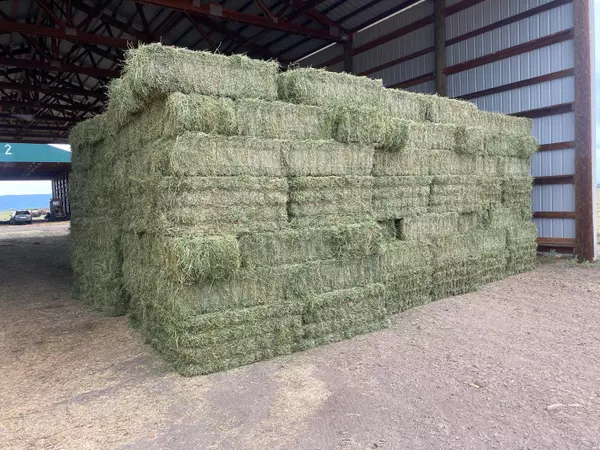 Bieber, CA 96009,553-185 Punkin Center RD