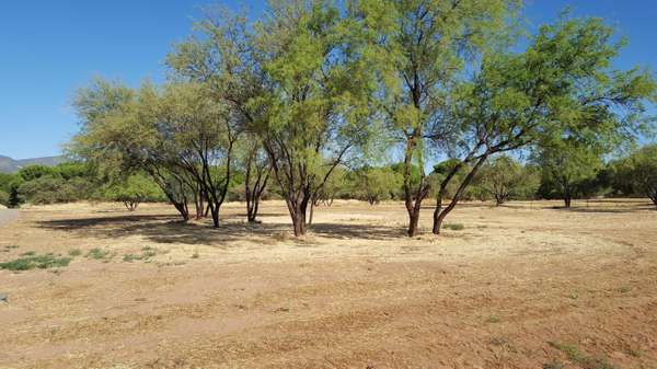 Camp Verde, AZ 86322,1050 E Amber WAY Way