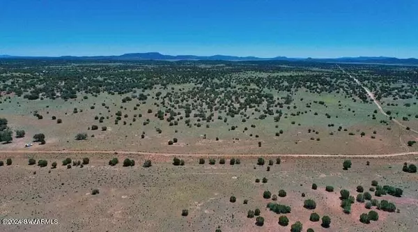 Seligman, AZ 86337,Tbd Jackpot Ranch Rd 13 Acres