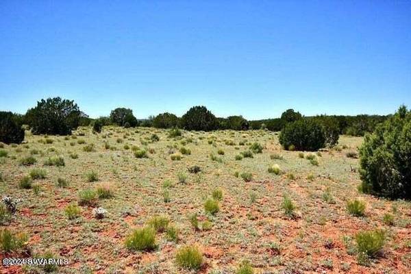 Seligman, AZ 86337,Tbd Jackpot Ranch Rd 13 Acres