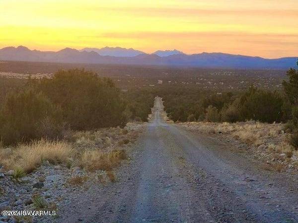 Seligman, AZ 86337,Tbd W Peaceful View Trl 42.87 Acres