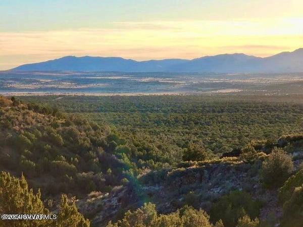 Seligman, AZ 86337,Tbd W Peaceful View Trl 42.87 Acres