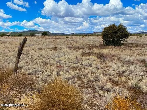 Ash Fork, AZ 86320,Tbd Yucca Trl 20.2 Acres