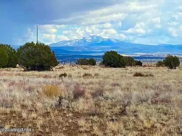 Ash Fork, AZ 86320,Tbd Yucca Trl 20.2 Acres