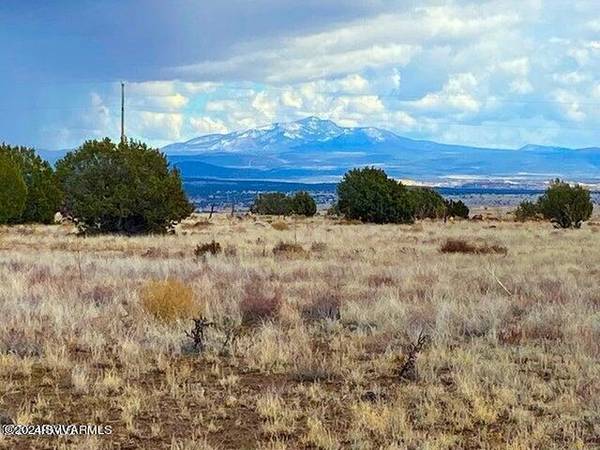 Ash Fork, AZ 86320,Tbd Yucca Trl 20.2 Acres