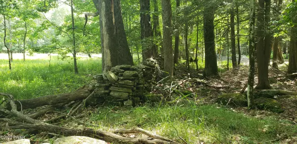 Lakeville, PA 18438,Berry Hill RD