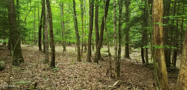 Lot 12 Cedar CT, Lakeville, PA 18438