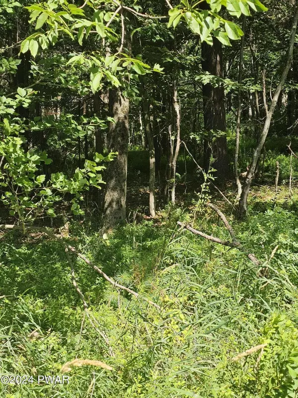 Lakeville, PA 18438,499 Purdytown TPKE