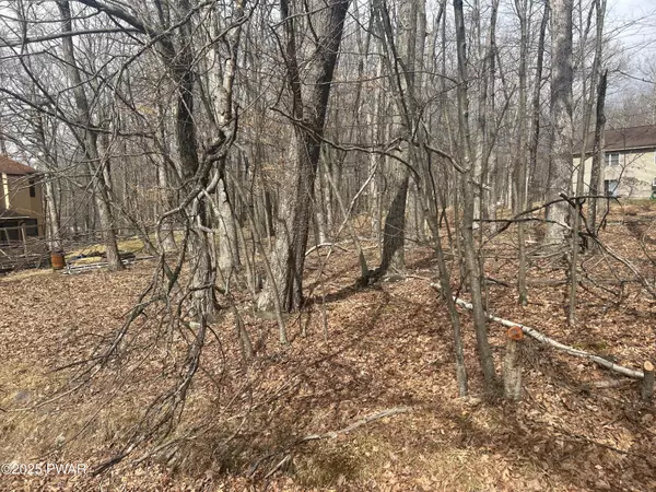 Milford, PA 18337,Buttercup TER