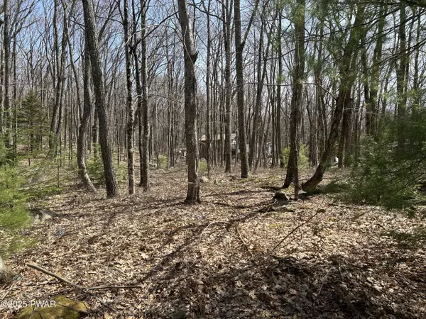 207 Canterbrook Dr DR, Hawley, PA 18428