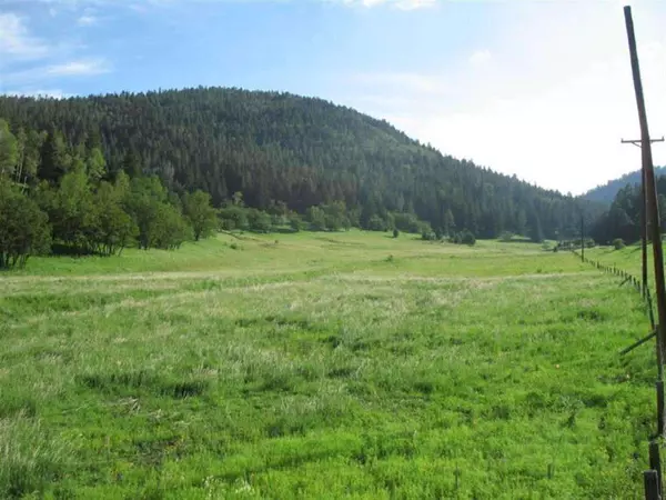 Cloudcroft, NM 88317,9 Elk Meadows