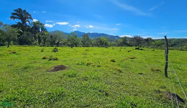 Permaculture Lot 2, 11902